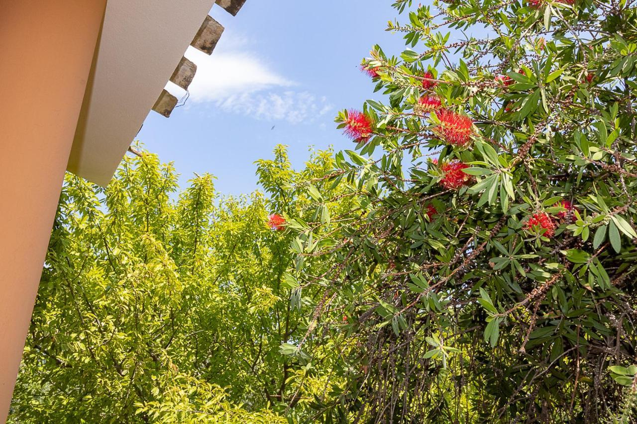 Villa Caterina La Maddalena  Bagian luar foto